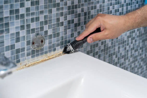 Best Certified Mold Removal  in Warm Springs, CA